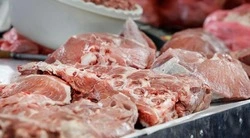 Более 1,8 млн тонн свинины и курятины было произведено в Белгородской области в 2024 году