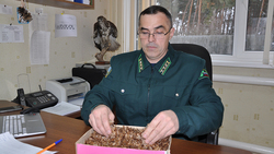 Директор Борисовского лесничества — о работе по охране лесных массивов