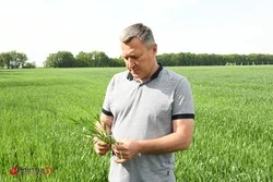 Борисовские аграрии завершили весенний сев 