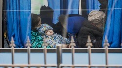 300 жителей Украины направились из Белгородской области в другой регион