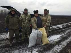 Борисовские лесники заготовили 310 кг шишек сосны обыкновенной