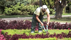 Белгородские власти намерены назначить главного садовника в каждом муниципалитете