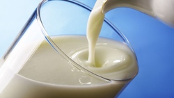 Специалисты предупредили белгородцев о фальсификатах молочной продукции