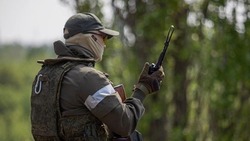 Вячеслав Гладков рассказал о поддержке семей  военнослужащих