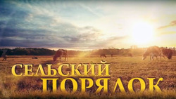 Жители Берёзовки стали героями программы «Сельский порядок»