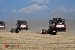 Земледельцы сельхозпредприятий Борисовского района приступили к уборочным работам