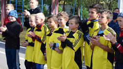 Ученики Борисовской школы №2 выступят на зональных соревнованиях по футболу