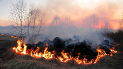 Пожароопасный сезон начался в белгородских лесах с 12 марта
