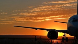 Авиационные власти разработали новые правила вывоза застрявших в аэропортах пассажиров
