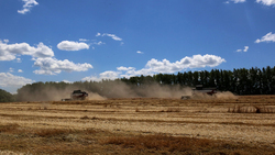 Показатель урожайности озимой пшеницы у Борисовской ЗК составил 61,1 ц/га