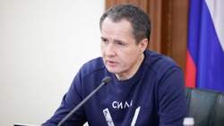 Николай Давыдов представил губернатору отчёт о мерах поддержки здоровья детей в Борисовском районе