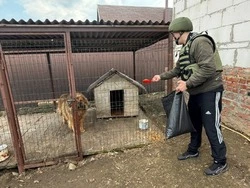 Бойцы  Краснояружской территориальной обороны продолжат кормление домашних животных и скота