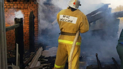Сотрудники МЧС ликвидировали пожар в сарае в Борисовском районе