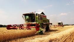 Правительство России выделит 10 млрд рублей на поддержку производителей зерна в 65 регионах
