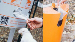 Специальные урны для уборки за животными установят в Белгороде