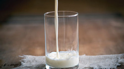 Белгородская область вошла в число лидеров по среднесуточному надою молока