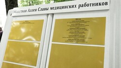 Борисовцы выберут лучших врачей для областной Аллеи Славы