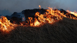 Пожароопасный сезон завершился в Белгородской области 6 ноября