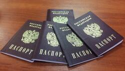 Правоохранительные органы напомнили о замене паспорта в установленные сроки