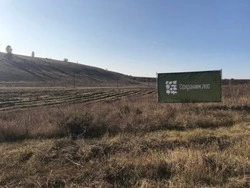 Белгородская область вошла в пятёрку лучших участников акции «Сохраним лес»