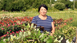 Татьяна Тохтамыш из Борисовского района: «Для меня садоводство — привычный образ жизни»