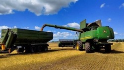 Аграрии Белгородской области обмолотили 98% запланированных площадей зерновых и зернобобовых культур