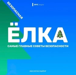 Сотрудники МЧС напомнили правила безопасной установки ёлки