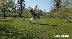 67 белгородцев  обратились в медорганизации с укусами клещей с начала марта