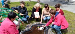 Мастер-класс «Путешествие в мир природы по экологической тропе» прошёл в Борисовке