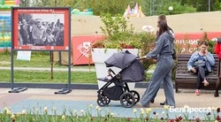   Белгородский Соцфонд начал приём заявлений на ежегодную семейную выплату