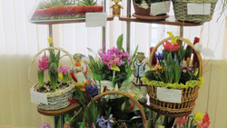 Борисовская станция натуралистов подготовила выставку цветочно-декоративных растений