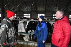 «Борисовские фермы»: 10 лет впечатляющего роста и успеха