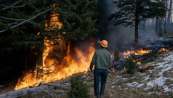 Дмитрий Кобылкин поручил проанализировать актуальность зон контроля лесных пожаров