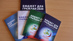 Брошюра «Бюджет для граждан — 2020» вышла ограниченным тиражом