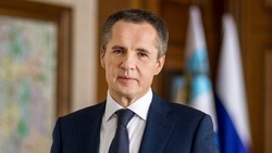 Прямая линия Вячеслава Гладкова на телевидении началась