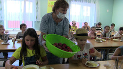 Около 100 борисовских детей будут посещать летние пришкольные лагеря