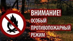 Особый противопожарный режим продлили в Белгородской области до 13 июля