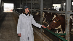 Компания «Борисовские Фермы» нарастила объёмы производства молока высокого качества