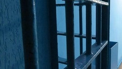 Суд вынес приговор отцу и сыну из Борисовского района за попытку незаконного сбыта взрывчатых вещест