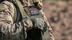 Вячеслав Гладков рассказал об отдельной поддержке участникам СВО в рамках соцконтракта