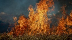 Белгородские власти ввели особый противопожарный режим на территории региона
