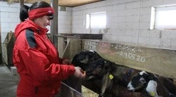 Вячеслав Гладков сообщил о направлении более 550 млн рублей на поддержку фермеров в 2025 году