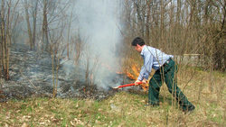 Инспекторы заповедника «Белогорье» усилили охрану лесов от пожаров