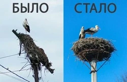  Аистам из села Беленькое помогли свить новое гнездо