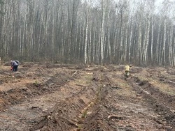 В Белгородской области дан старт лесокультурному сезону