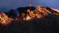 Специалисты зарегистрировали 3 случая пала травы в районе с начала пожароопасного периода