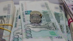 Валовый доход субъектов МСП в Белгородской области составил более 320 млрд рублей