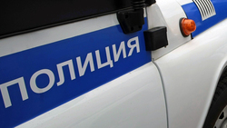 Борисовца приговорили к исправительным работам за оскорбление полицейского