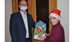 Депутаты Белгородской областной Думы передали 368 подарков юным борисовцам