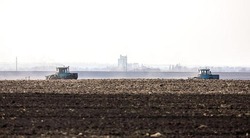 Аграрии Борисовского района приступили к севу озимой пшеницы